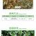 胜邦绿野绿野金达尔960克/升异丙甲草胺除草剂
