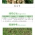 胜邦绿野阔尔10%乙羧氟草醚一年生阔叶杂草除草剂