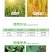 胜邦绿野施地隆288克/升氯氟吡氧乙酸一年生阔叶杂草除草