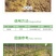 七洲同锄200克/升草铵膦水剂非耕地杂草