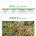七洲惊天海10%精草铵膦铵盐非耕地杂草园杂草除草剂