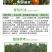 金帆达41%草甘膦异丙胺盐可溶液剂柑橘园杂草