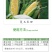 侨昌莠去津38%莠去津1L春玉米田一年生杂草除草剂