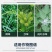 连云港立本水星稗草阔叶杂草莎草除草剂