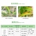 新禾丰禾丰锌微量元素水溶肥料预防生长不良小叶黄叶