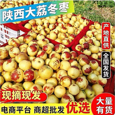 『冬枣』陕西冬枣/产地现摘/对接电商平台～批发～商超