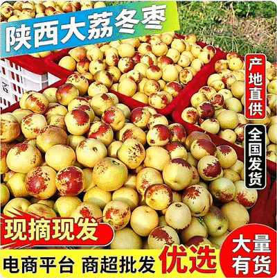 『冬枣』陕西冬枣/产地现摘/对接电商平台～批发～商超