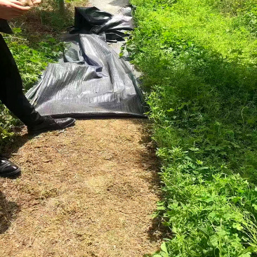 鑫来塑业防草布多少钱一平方出厂价直供比人工除草划算