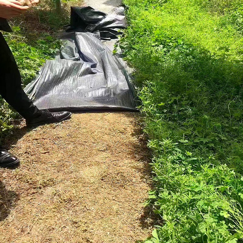 鑫来塑业防草布多少钱一平方出厂价直供比人工除草划算