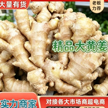 大黄姜产地直供，鲜姜代存电商市场超市欢迎咨询