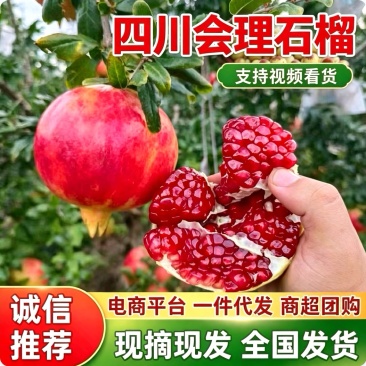 《会理石榴》软籽石榴/四川凉山产地现摘/批发～电商～商超