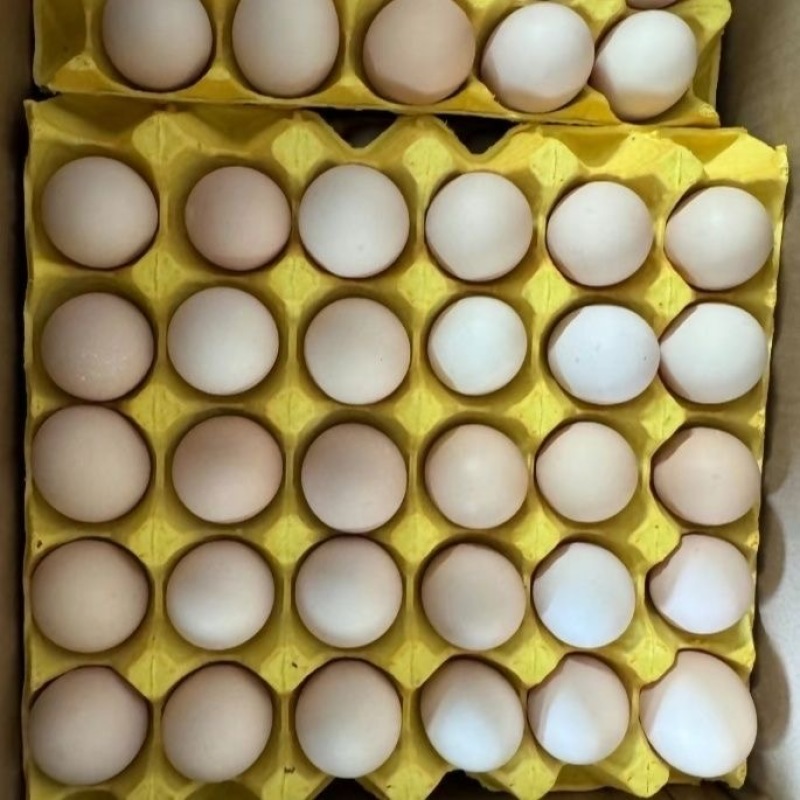 农家鲜鸡蛋中小码蛋净重33斤360枚整箱产地直发