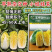 玉玲珑小娃娃菜种子帮薄无筋脆嫩多汁早熟杂交种黄心娃娃菜种