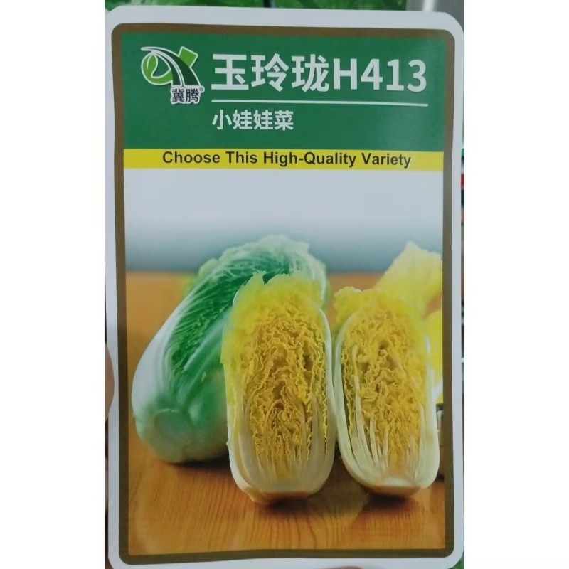 玉玲珑小娃娃菜种子帮薄无筋脆嫩多汁早熟杂交种黄心娃娃菜种
