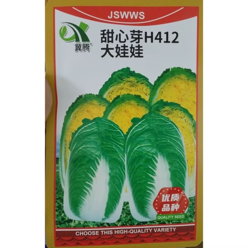 早熟大娃娃菜种子黄心脆嫩甜心娃娃菜种子抗病蔬菜种子基地用