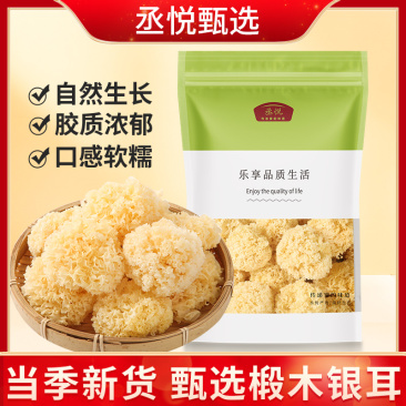 椴木小银耳