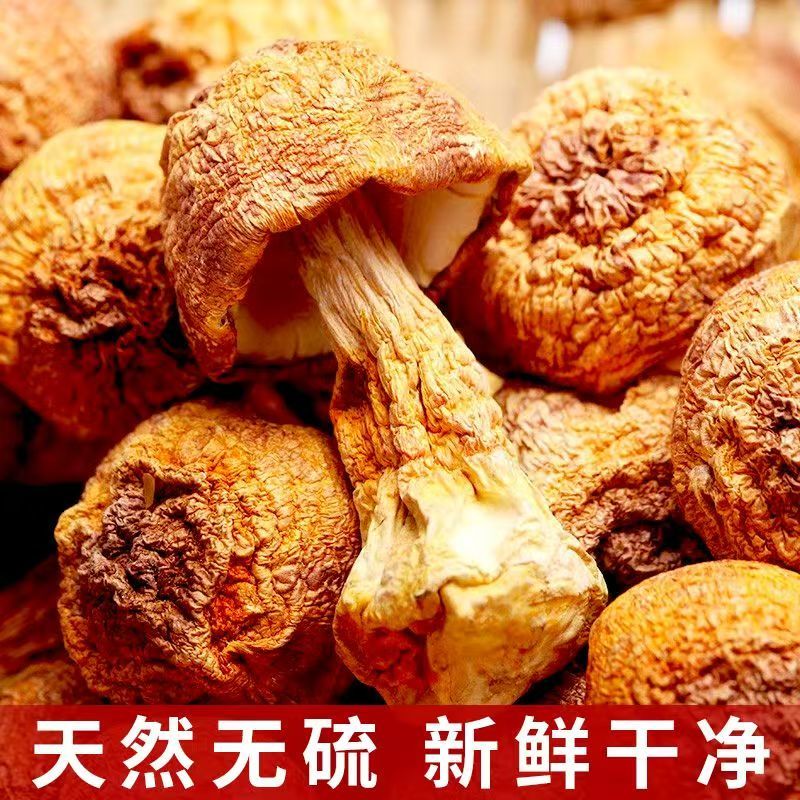 干货姬松茸云南特产巴西菌