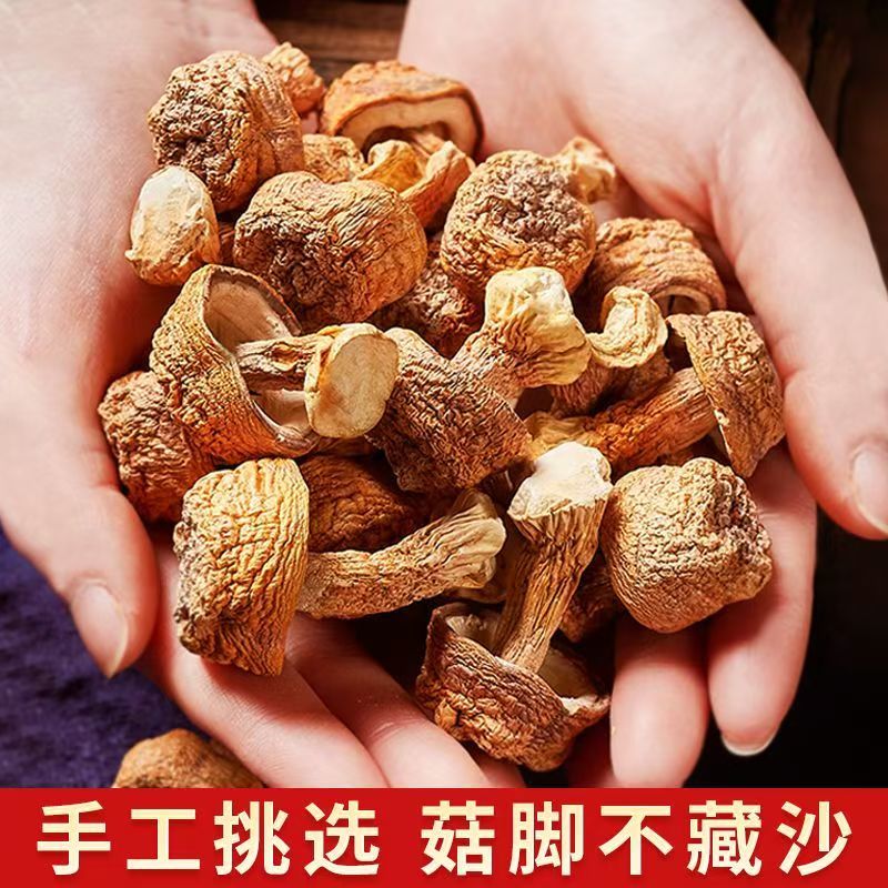 干货姬松茸云南特产巴西菌