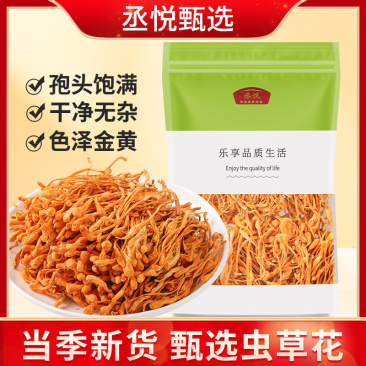 精选虫草花