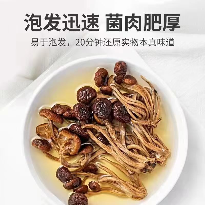 精选茶树菇