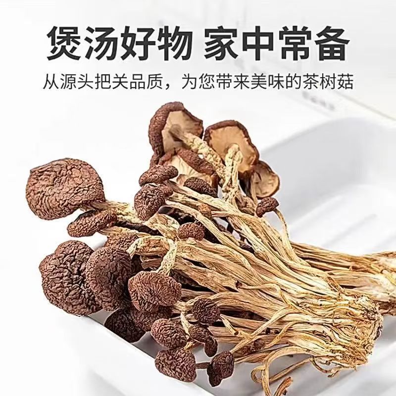 精选茶树菇
