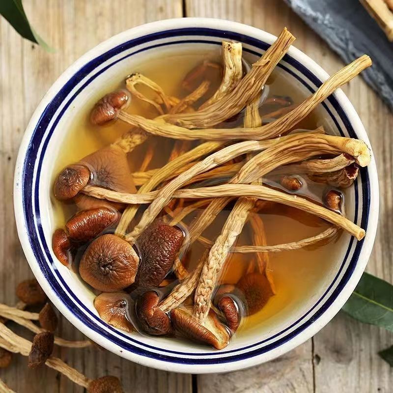 精选茶树菇