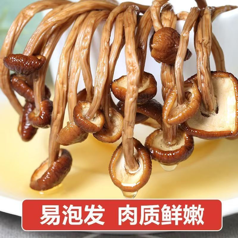 精选茶树菇