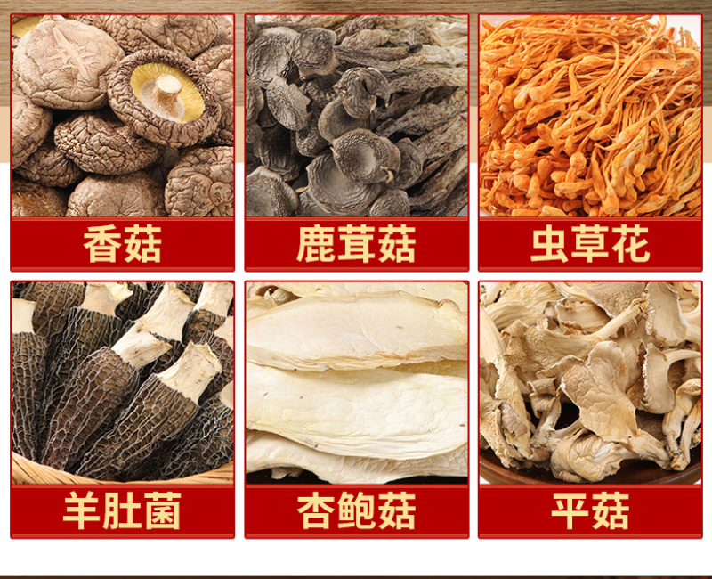 五颗羊肚菌菌汤包