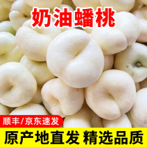 山东奶油蟠桃当季新鲜水果油桃白蟠桃一件代发