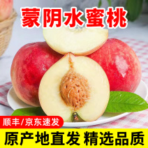 河北春雪水蜜桃当季新鲜孕妇水果桃子一件代发