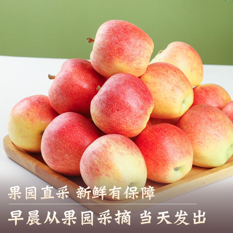 山西红嘎啦苹果当季新鲜水果脆甜小苹果