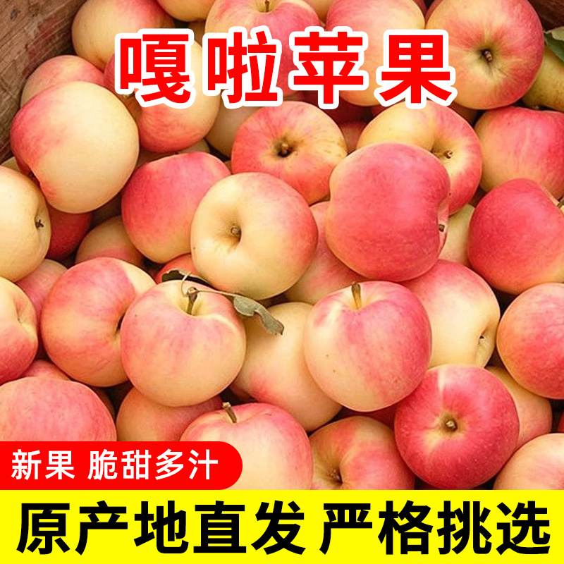 山西红嘎啦苹果当季新鲜水果脆甜小苹果