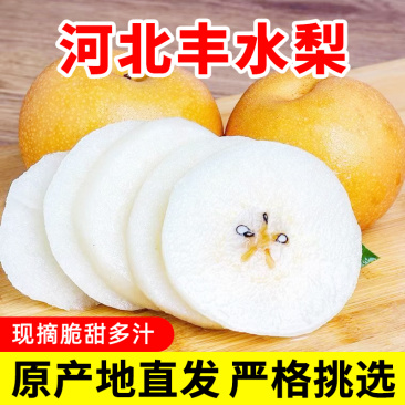 河北丰水梨当季新鲜水果脆甜多汁秋月梨礼盒一件代发