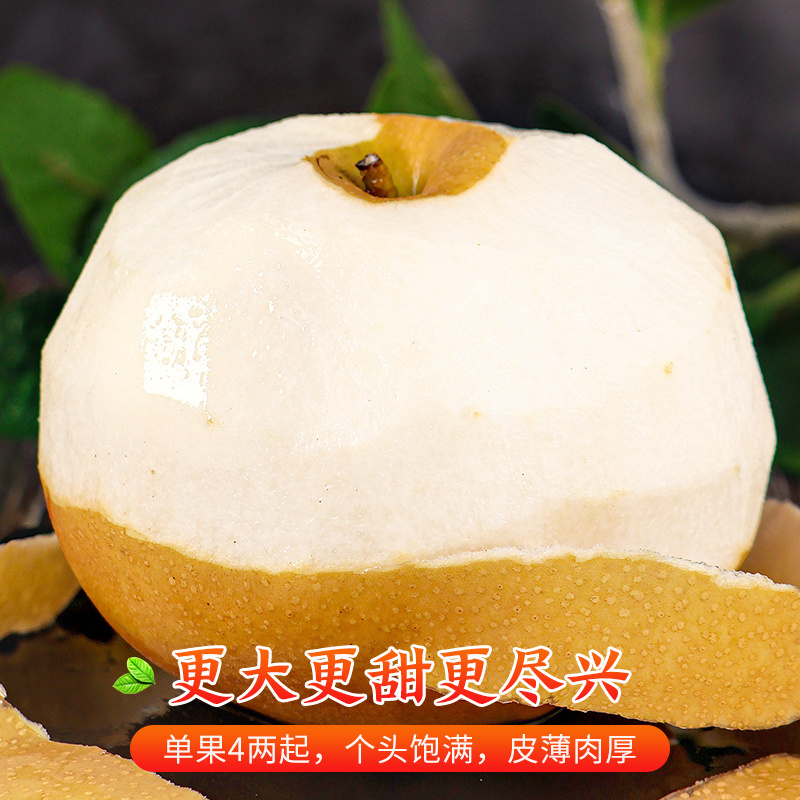 河北丰水梨当季新鲜水果脆甜多汁秋月梨礼盒一件代发