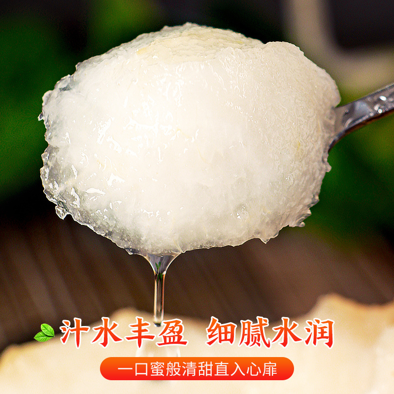 河北丰水梨当季新鲜水果脆甜多汁秋月梨礼盒一件代发