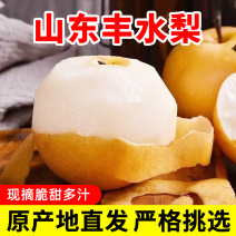 山东丰水梨当季新鲜水果孕妇包邮一件代发