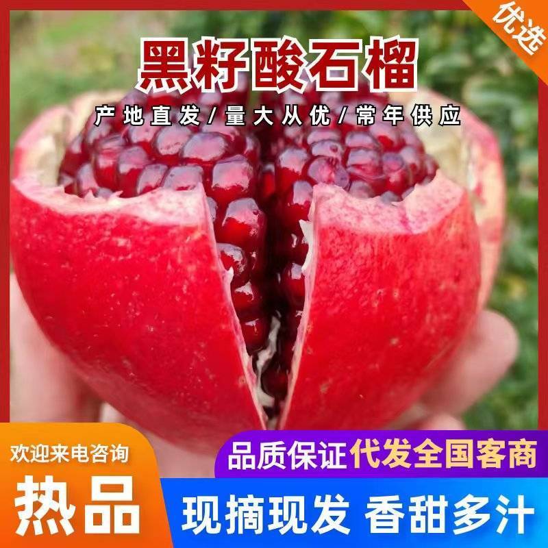 精品黑籽酸软籽石榴产地直发对接电商市场商超可视频