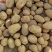 精品沃土土豆产地直发全国供应提供找车服务可视频