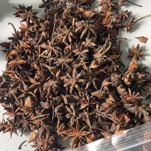 绿康百香春花八角干货广西产地大料商用调味香辛料货源