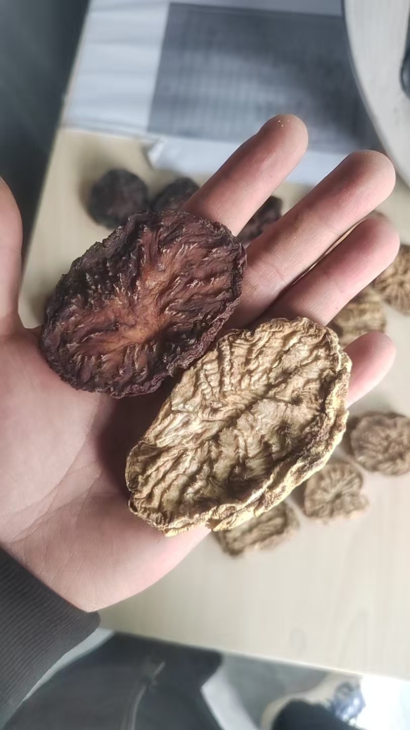肉苁蓉3~500克药用规格