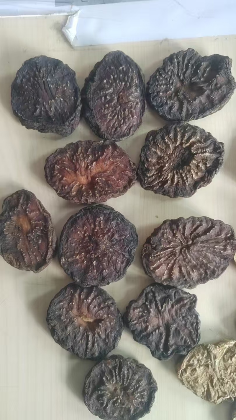 肉苁蓉3~500克药用规格