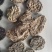 肉苁蓉3~500克药用规格