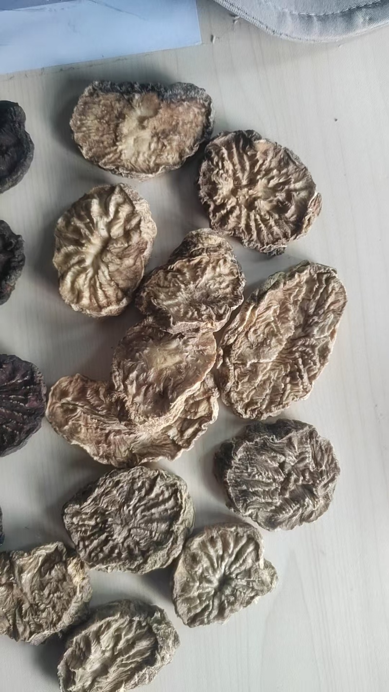 肉苁蓉3~500克药用规格