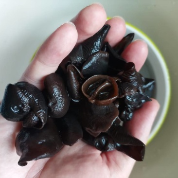 秋木耳特级