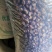 808香菇鲜香菇：3.8-5公分精选中菇4.2元/斤，5