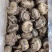 芋头大中小都有，品质很好，最小18个一斤，红皮