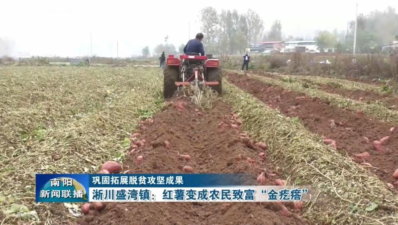 淅川县盛客薯业有限公司，纯红薯粉条，保质保量产地直发。