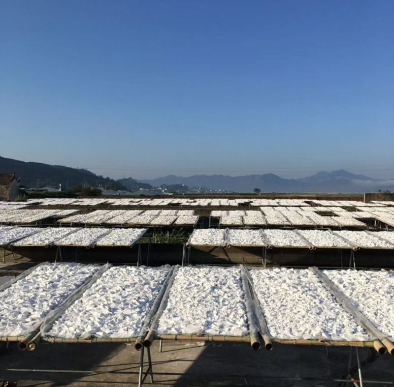 淅川县盛客薯业有限公司，纯红薯粉条，保质保量产地直发。