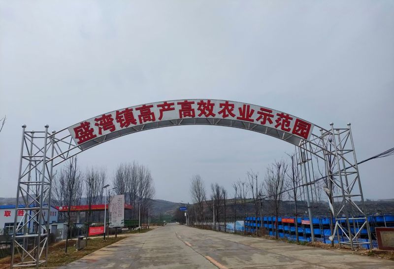 淅川县盛客薯业有限公司，纯红薯粉条，保质保量产地直发。