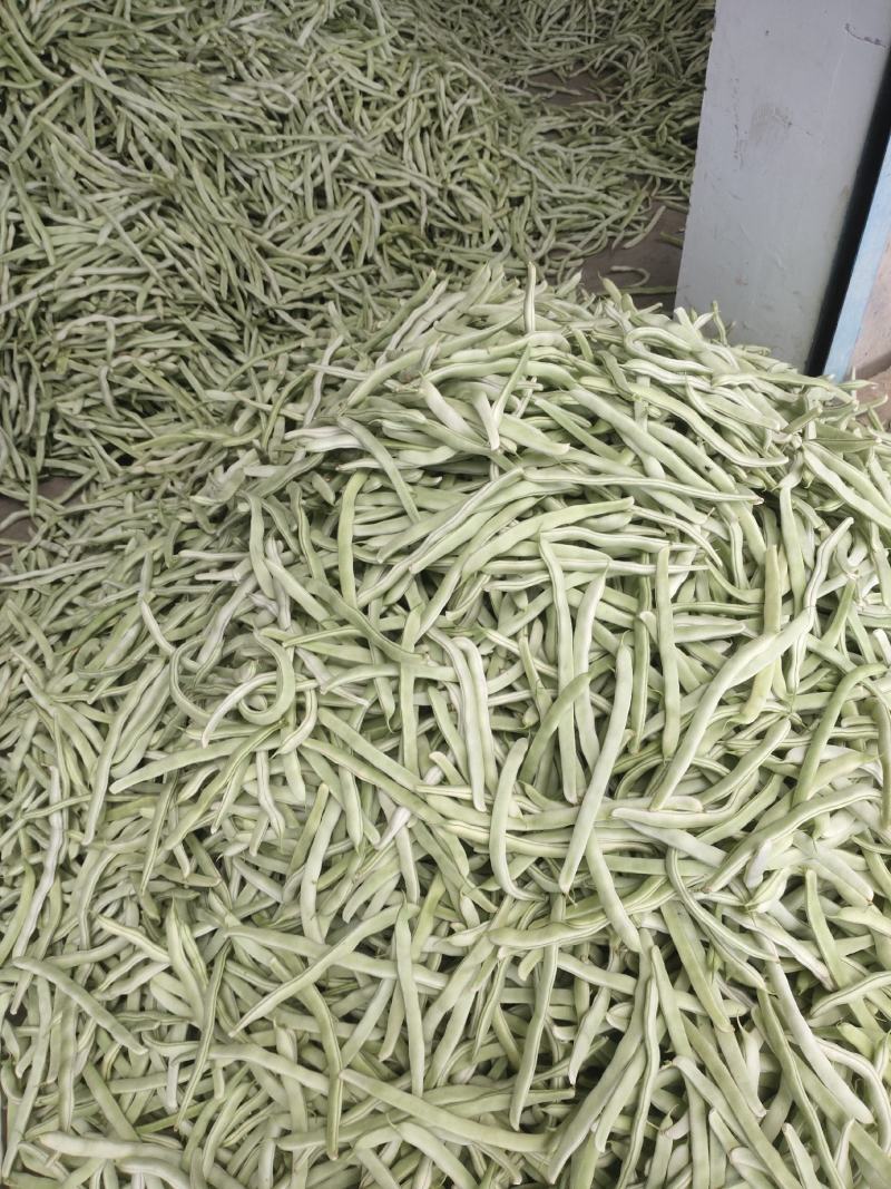 白豆通货、精品